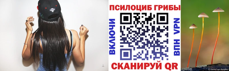 Купить Конаково Псилоцибиновые грибы Psilocybe